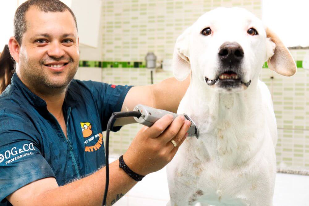 Tratamento humanizado no Pet Shop do Patinho